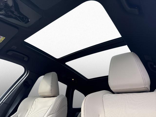 BMW iX1 – Bild 8