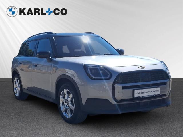 MINI MINI 2025